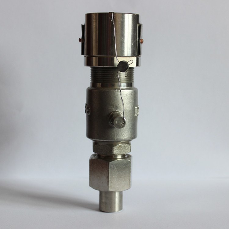 船用DIN型不銹鋼安全閥實物圖1 船用DIN型不銹鋼安全閥實物圖